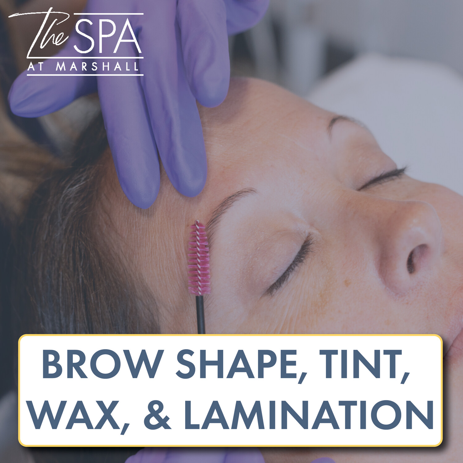 Brow Shape, Tint, Wax & Lamination