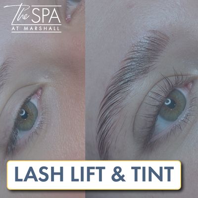 Lash Lift & Tint