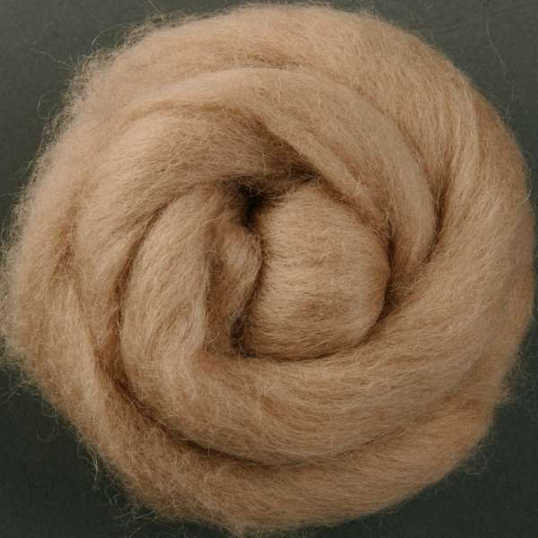 Corriedale top - Cookie