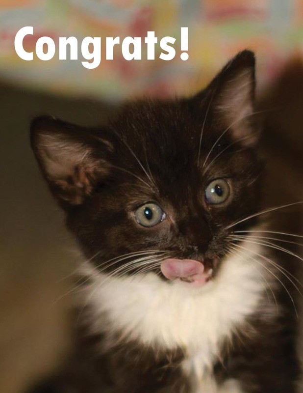 Congratulations