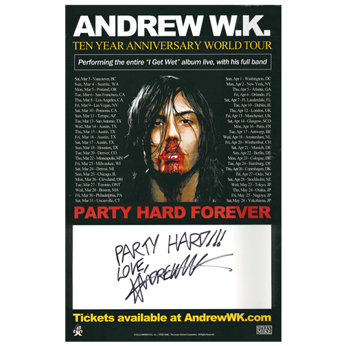 10th Anniversary Tour Promo Poster