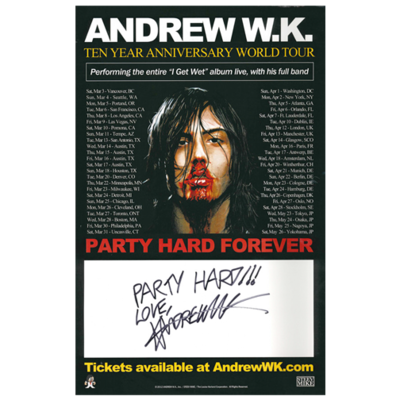 10th Anniversary Tour Promo Poster