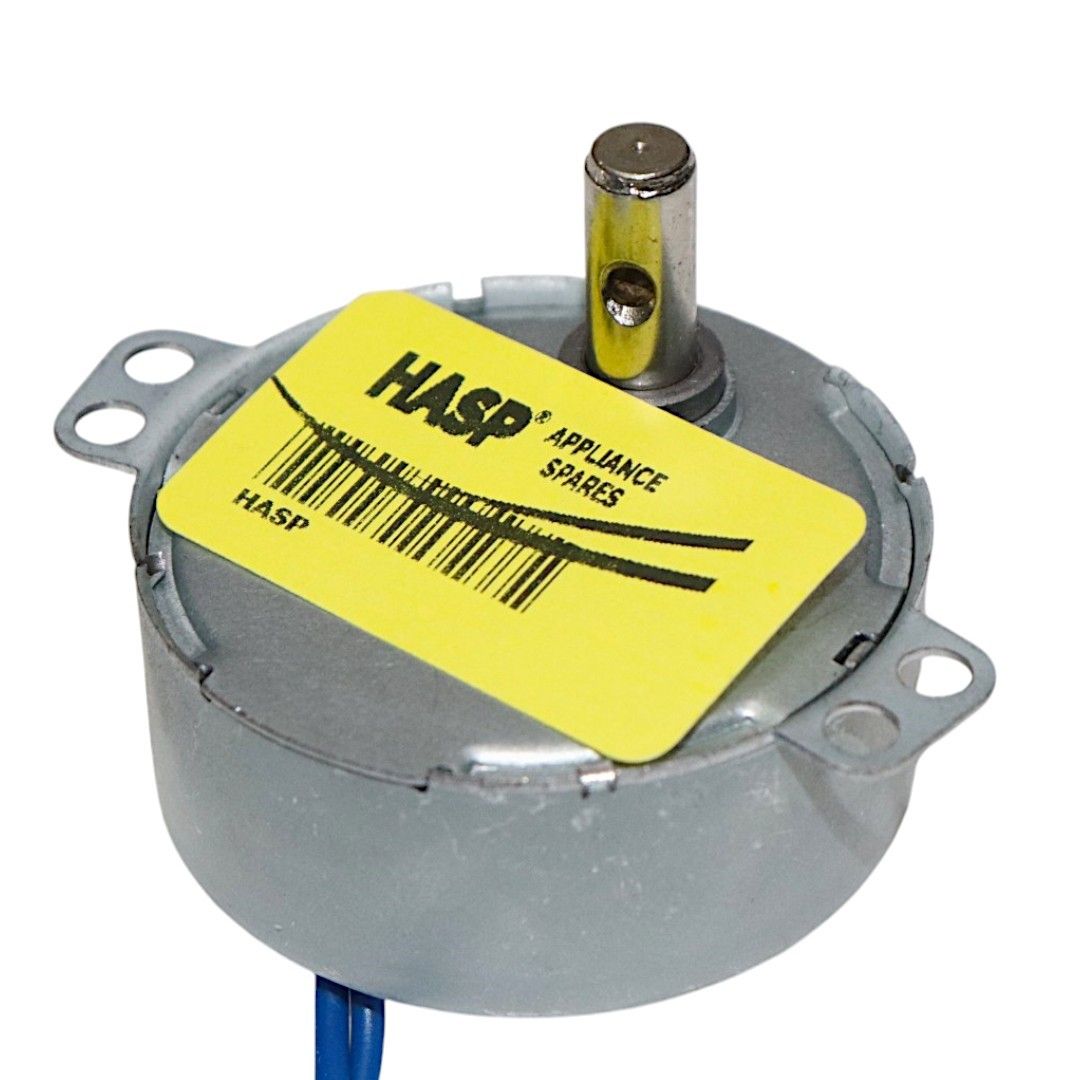 Synchronous Motor 4W