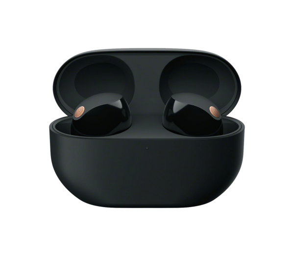 Sony WF-1000XM5 Noise-Canceling True Wireless In-Ear Headphones (Black)