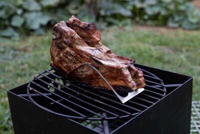 2 Slot Griller and Fat Tanner
