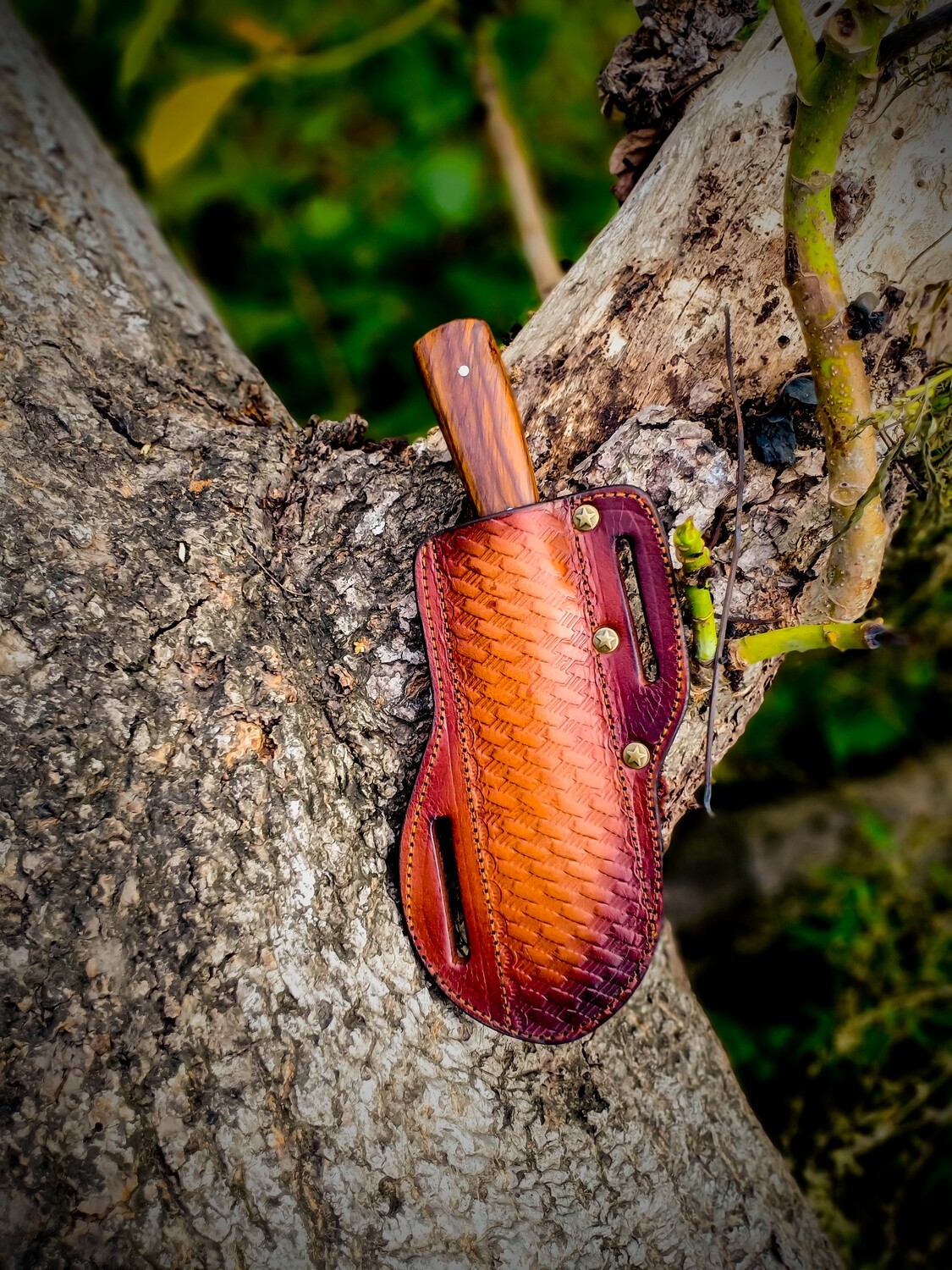 1095 Steel Full Tang Skinner Knife with Rose Wood Handle