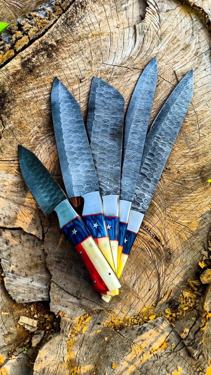 Chef Knives Set Of 5 Pieces Damascus Forged Steel (15n20+1095)