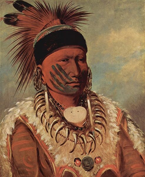 Catlin - The Story of the American Indian in Art Ebook