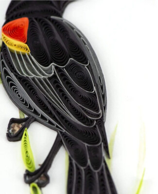 Red-Winged Blackbird Card