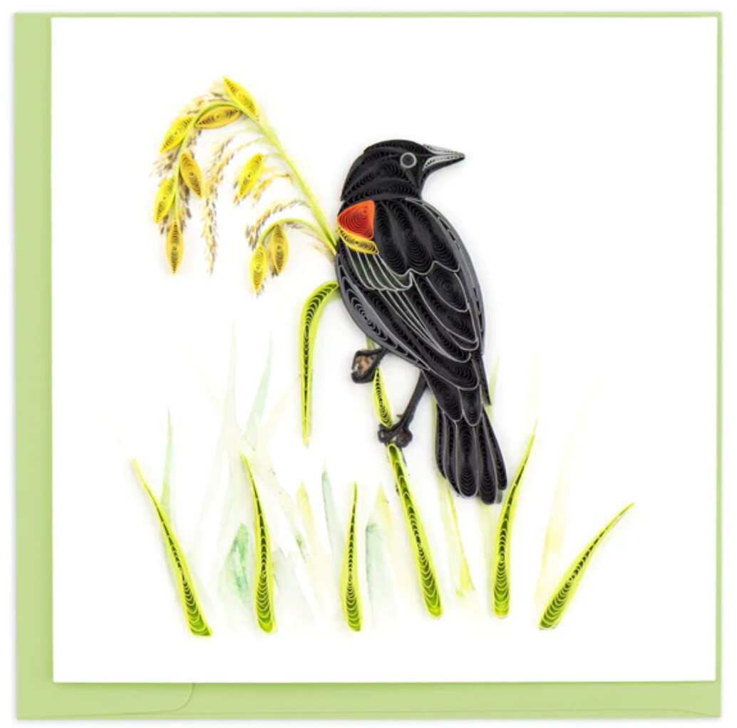 Red-Winged Blackbird Card