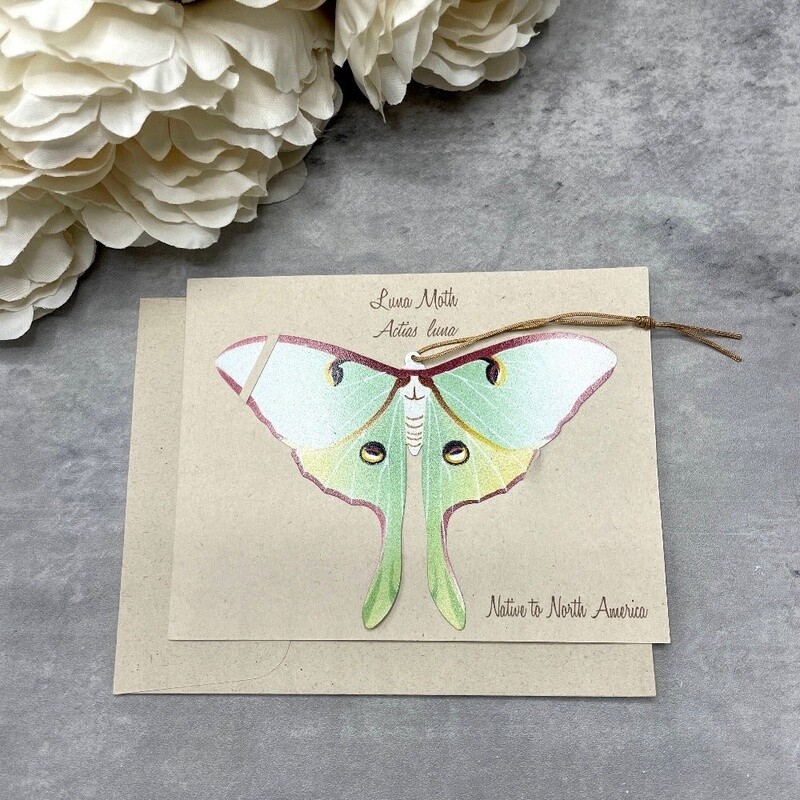 Luna Moth Bronze Ornament