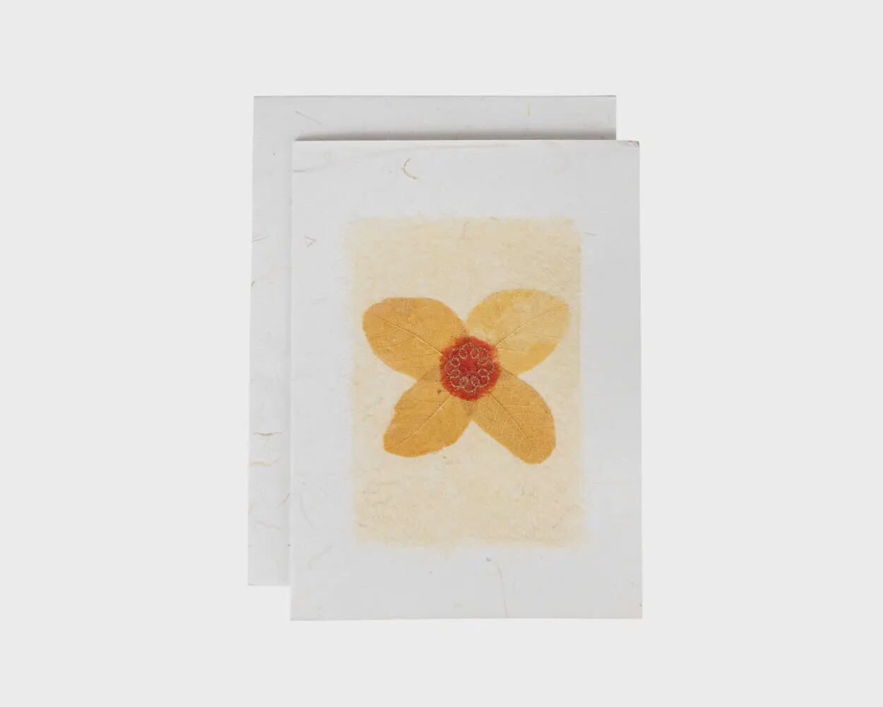Pressed Daisy Handmade Card