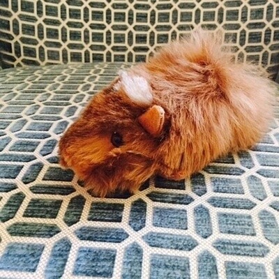 Guinea Pig Alpaca Toy