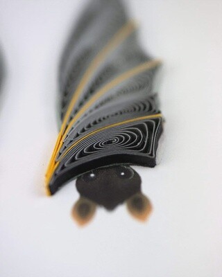 Halloween Bats Quilling Card