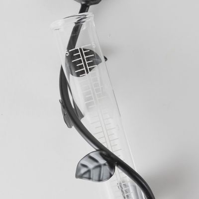 Indira Cast Iron Rain Gauge