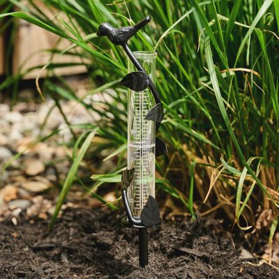 Indira Cast Iron Rain Gauge