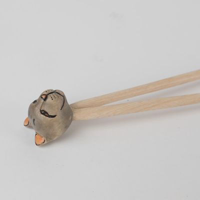 Training Chopsticks - Cat