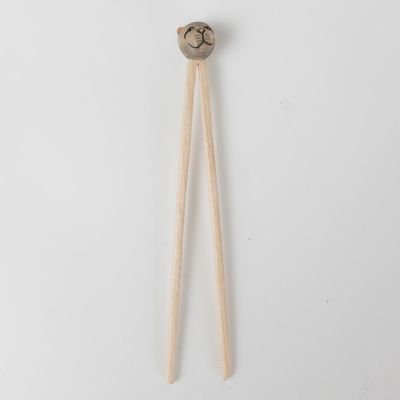 Training Chopsticks - Cat
