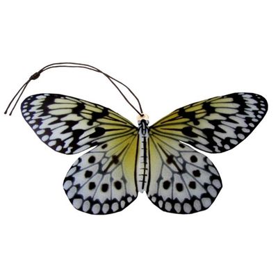Paper Kite Butterfly Ornament + Notecard