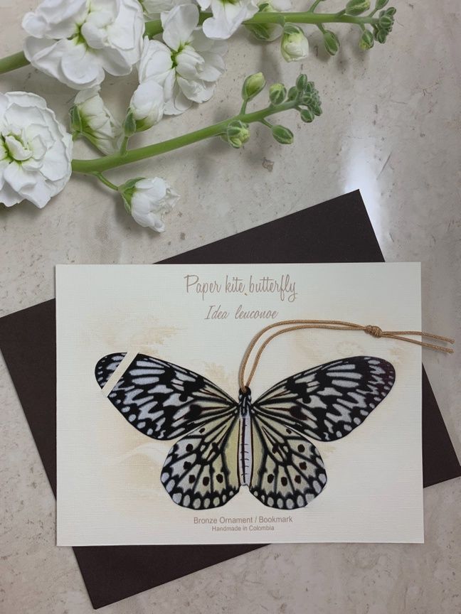 Paper Kite Butterfly Ornament + Notecard