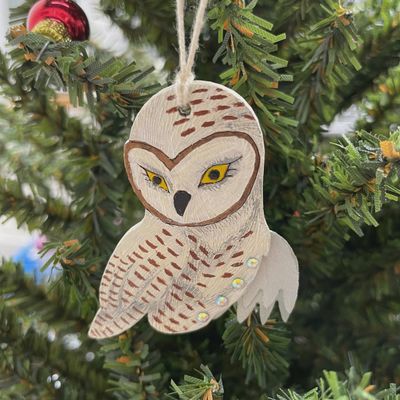 Owl Gourd Ornament