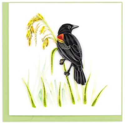 Red-Winged Blackbird Card