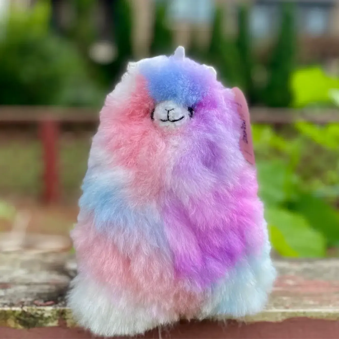 Colorinche Llamacorn Softy Pastel
