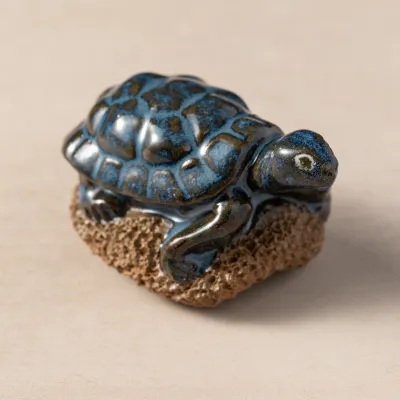 Pedicure Friend Turtle
