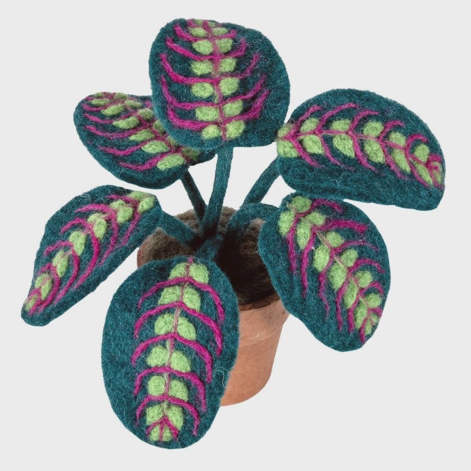 Prayer Plant Felt Potted Plant