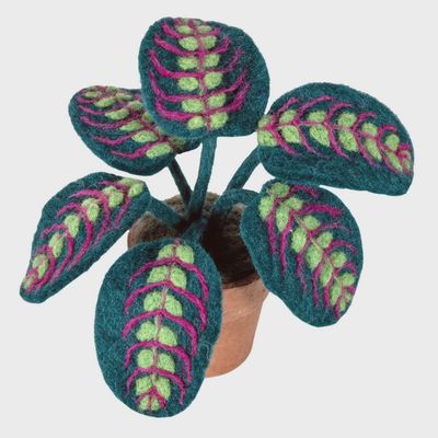 Prayer Plant Felt Potted Plant