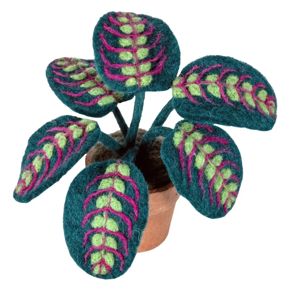 Prayer Plant Felt Potted Plant