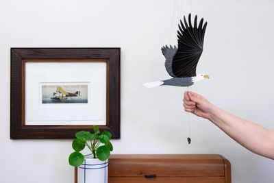 American Bald Eagle Bird Flying Mobile