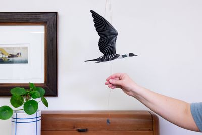 Loon Bird Flying Mobile