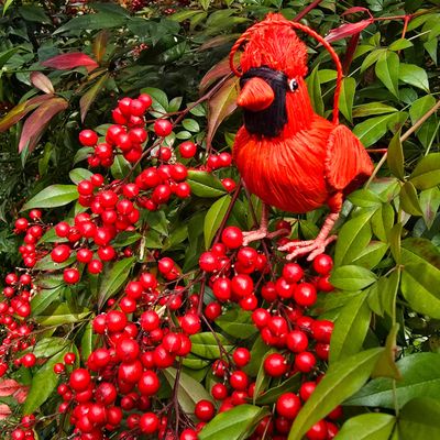 Cardinal - Palm Fiber Bird Ornament