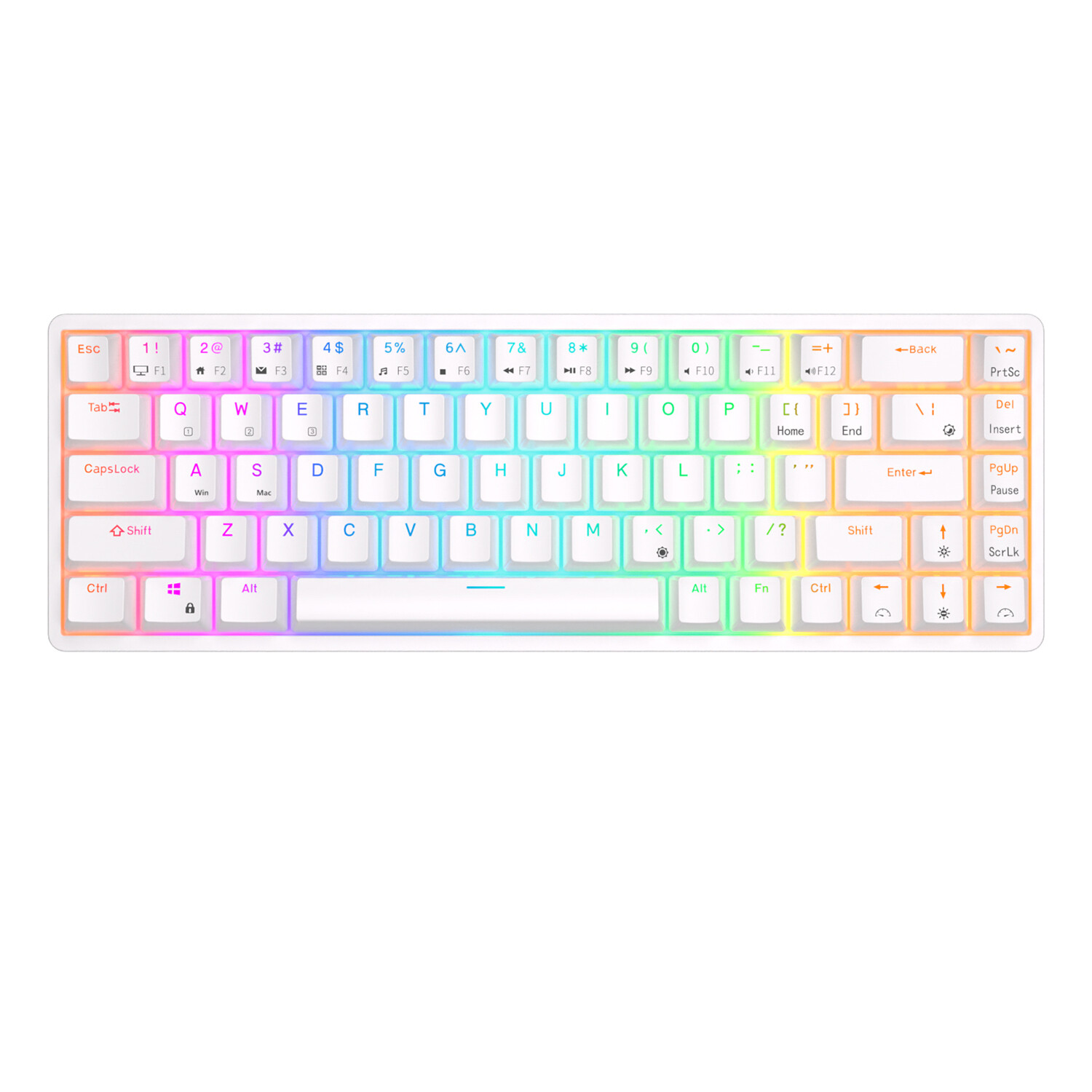 ROYAL KLUDGE RKG68 65% Wireless RGB Gaming Keyboard Arabic/English Red Switches Hot Swappable (White)