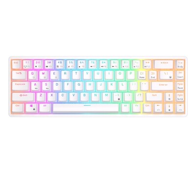 ROYAL KLUDGE RKG68 65% Wireless RGB Gaming Keyboard Arabic/English Red Switches Hot Swappable (White)