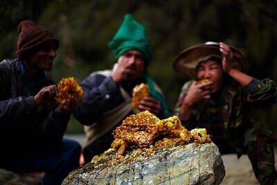 Himalaya Wild Honey