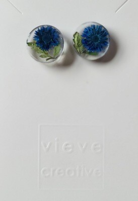 Blue Stud Earrings