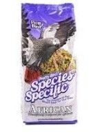 African gray special by pretty bird