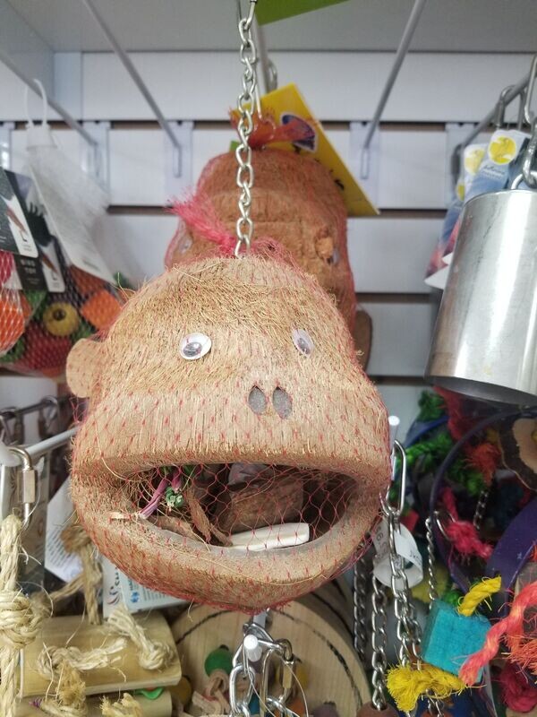 Coconut head toys