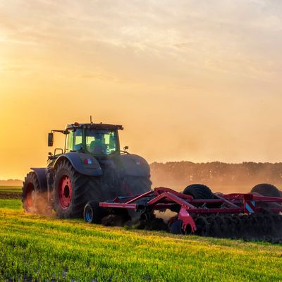 Landwirtschaft & Tierhaltung