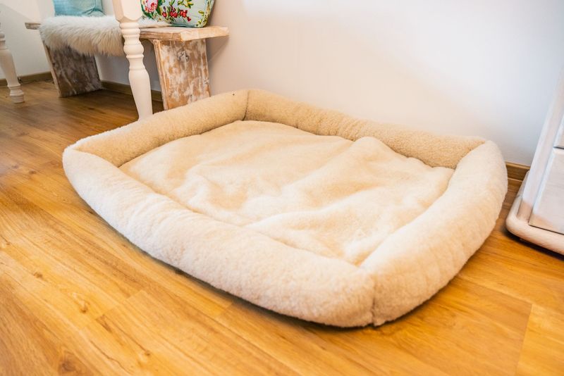 Hundekorb aus Deichschafwolle