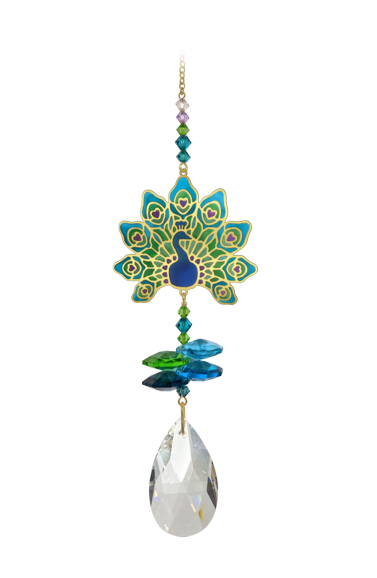Pfau, Violett