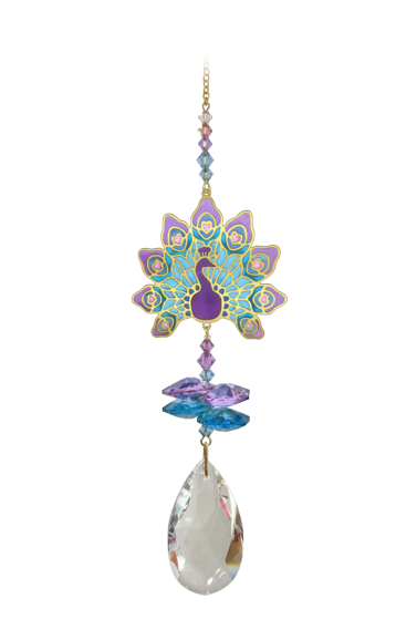 Pfau, Violett