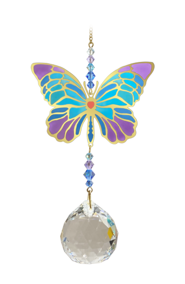 Schmetterling, Iris