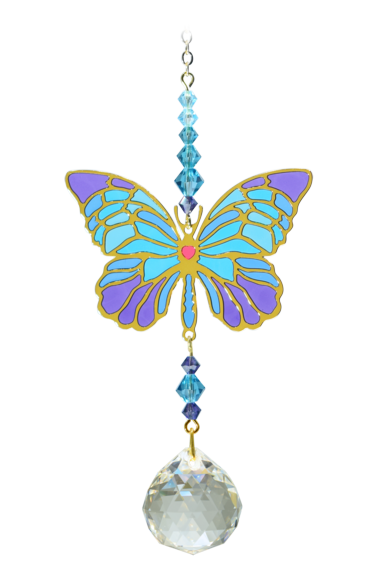 Schmetterling, Iris