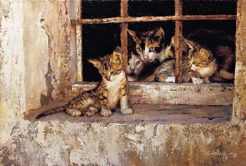 Family Portrait (Almería Cats)