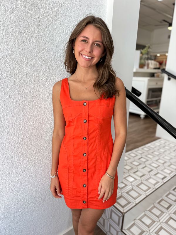 Clementine Mini Dress