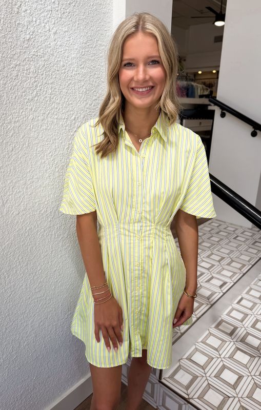 Lime Wash Stripe Mini Dress