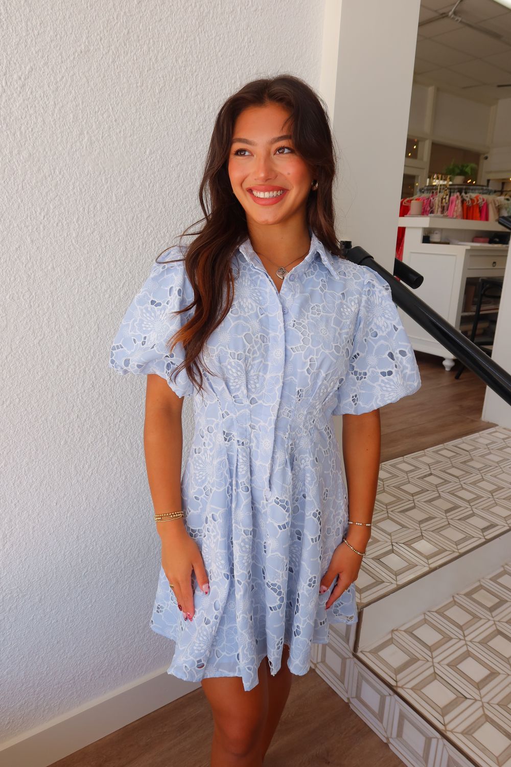 Powder Blue Lace Collins Dress